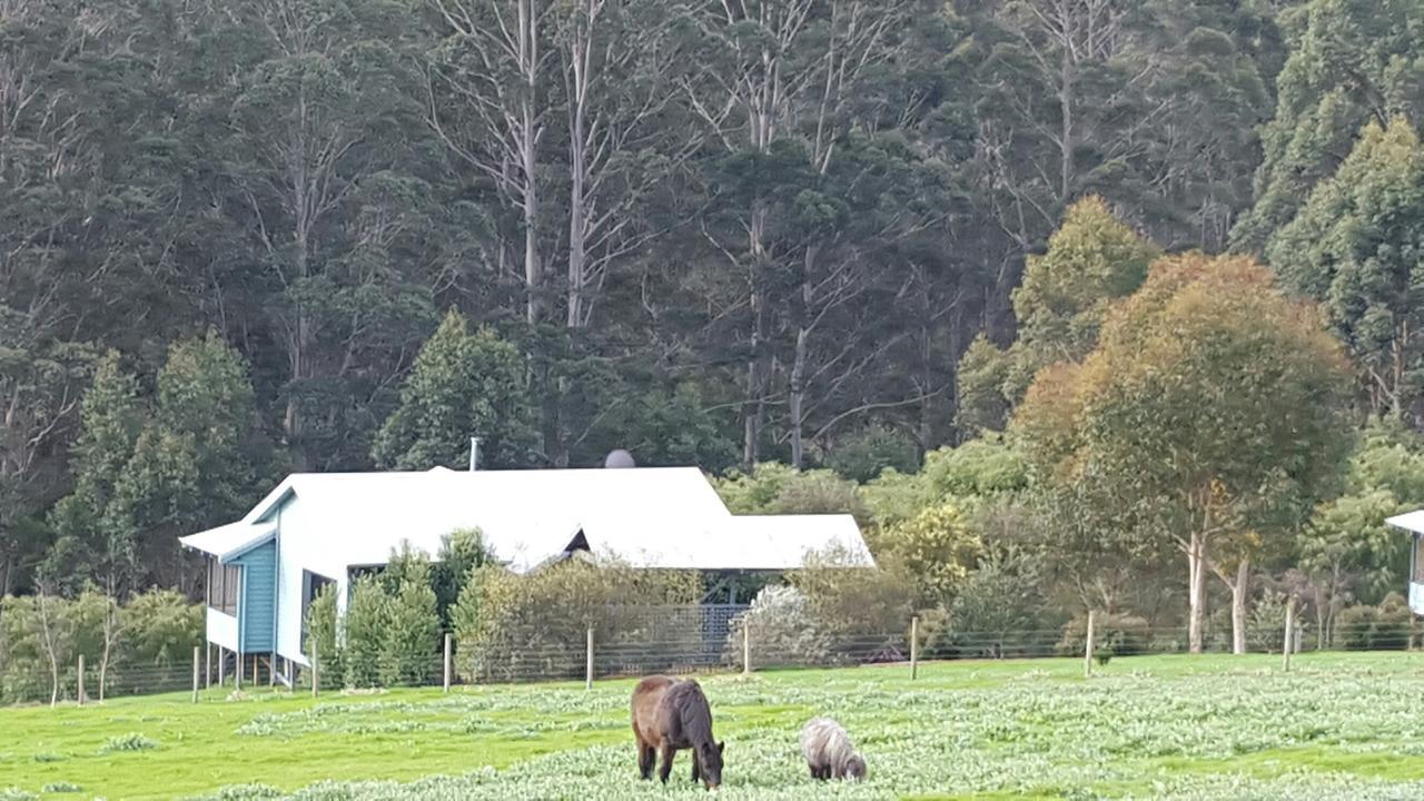 Rainbow Trail Chalets ペンバートン エクステリア 写真